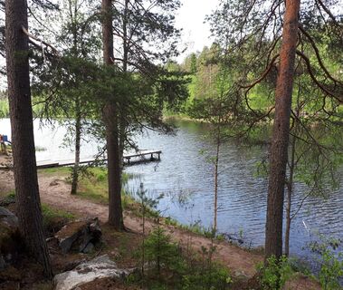 Blick auf den Spazierweg rund um den Teich