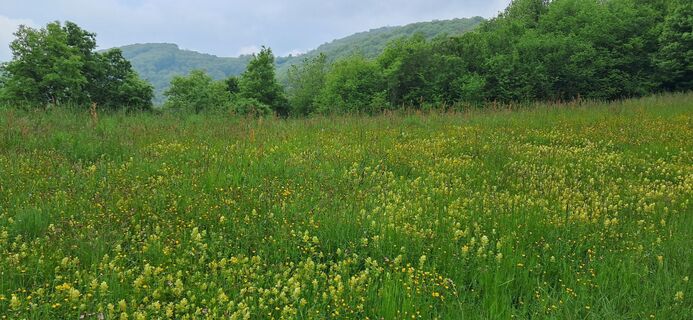 Foto van Valter Sandri langs de tour