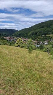 Foto von Yetizassel entlang der Tour