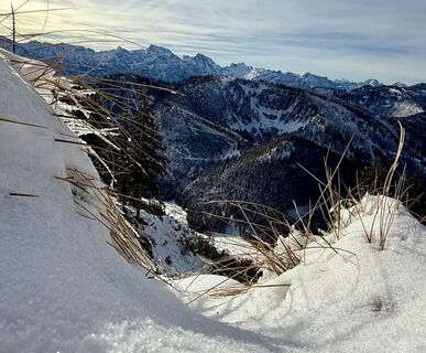 Photo de Natur_erleben_dg le long du parcours