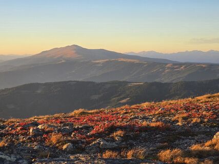 Fotografia z TwilightTea na trase