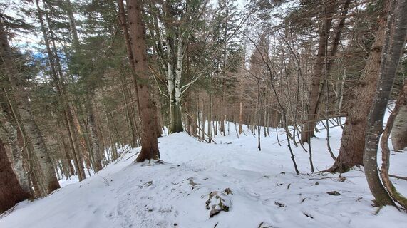 Foto von Regina Fleischmann entlang der Tour