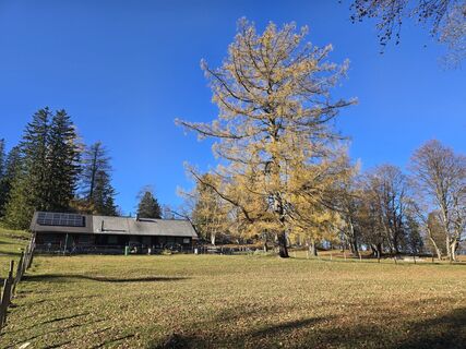 Fotó a TwilightTea honlapról a túra során