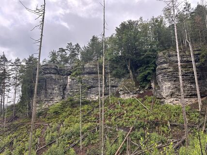 Fotografia z Norbert Herbig na trase