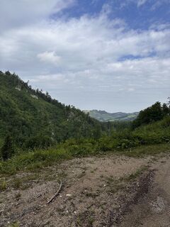 Foto da Babs Holz lungo il tour