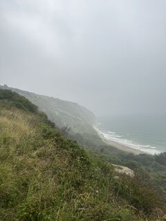 Photo de flocantara le long du parcours