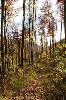 Aufstieg zur Mühlbacher Hütte