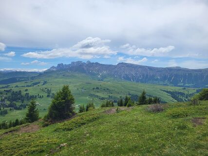 Foto von Anke Hetzer entlang der Tour