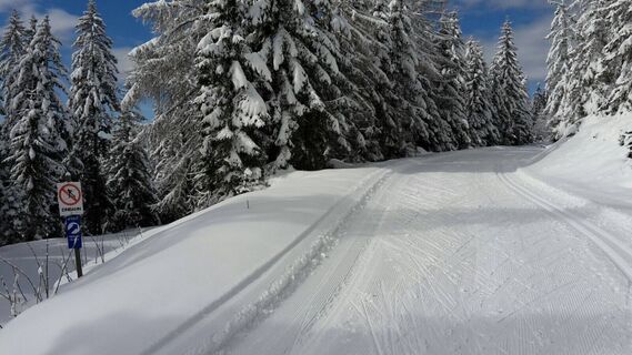 Langlaufen auf der Hebalm