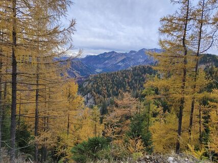 Fotografia z Edit Beliczai na trase