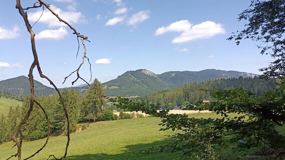 Foto von Bergpirat entlang der Tour