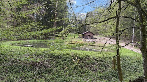 Foto von hob2020 entlang der Tour