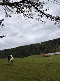 Fotografie z Tina Begicevic na trase
