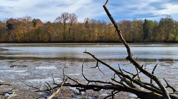 Zdjęcie z Karl Kriegseisen wzdłuż trasy