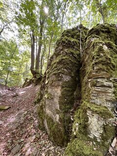 Photo de Hirst Bruskie le long du parcours
