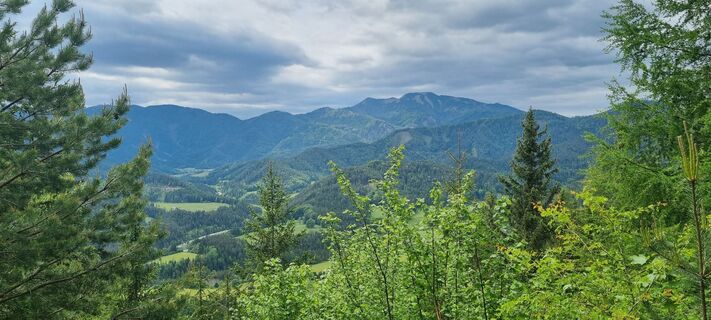 Foto från Manu Hof under resans gång