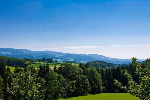 Blick in den Naturpark Pöllauer Tal