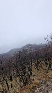 Fotografia z Nejc Zlobec na trase