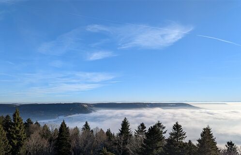 Fotografija s spletne strani Sabrina Hackel na poti