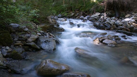 Stallaalm | Bach 