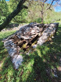 Fotografija s spletne strani Marta Umer na poti