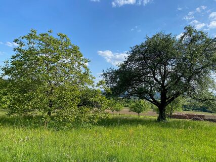 Naturlandschaft rund um Stadtschlaining
