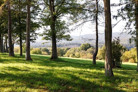 Wald und Wiesen auf der Bubenhäuser Höhe
