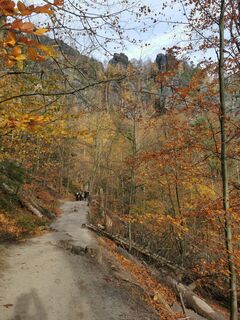Foto van steffen preuss langs de tour