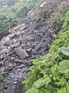 Photo de Halphas666 le long du parcours