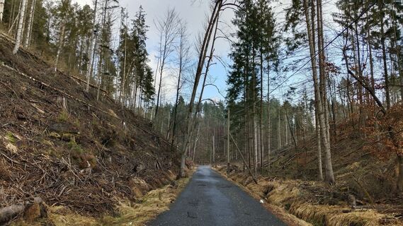 Photo de Jara D. le long du parcours