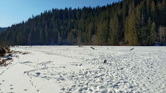 Photo de István Gábor 1 le long du parcours