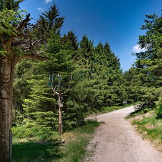 Wanderung zum Schneekopf, Thüringer Wald