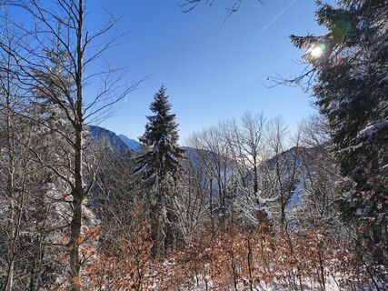Photo de Marko Bešter le long du parcours