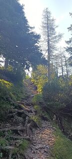 Foto von Bergpirat entlang der Tour