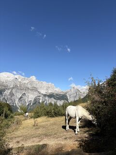 Foto von B B entlang der Tour