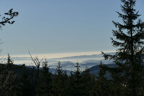 Foto von fleibu entlang der Tour