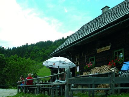 Zeiringeralm in Johnsbach