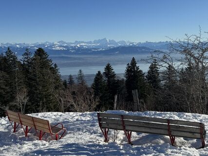 Photo from Nicolas Barrière along the tour