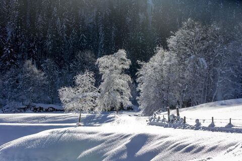 Wildpark Untertauern