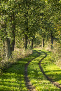 Wanderweg in Dahlenburg