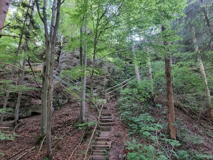 Photo de Felix le long du parcours
