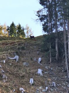 Foto von Sandra Wurzer entlang der Tour