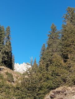 Fotografia z Reinhard Florreither na trase