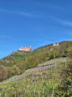 Photo de Katharina le long du parcours