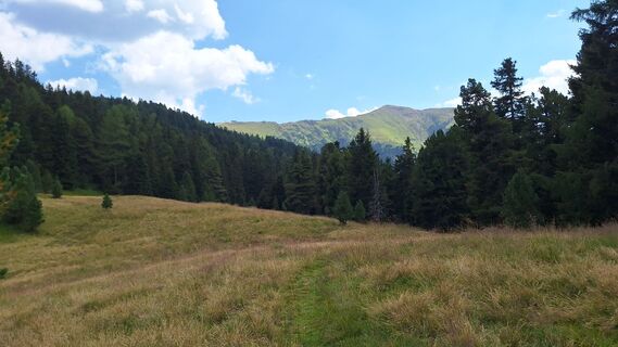 Foto von Manfred Zarnhofer entlang der Tour