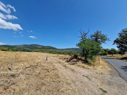 Fotografie z Szomi Balázs na trase