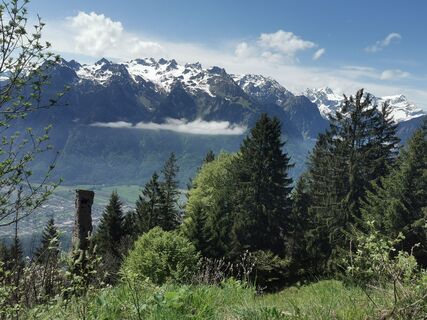 Fotografija s spletne strani Waldläufer na poti
