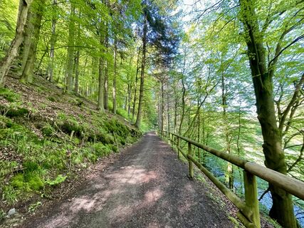 Foto von Les aventures de Ghislain entlang der Tour