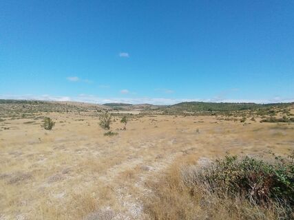 Foto de Ab Zaza a lo largo del recorrido