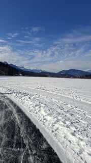 Foto von Mangolein entlang der Tour